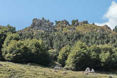 Kalksteinklippen mit Wald